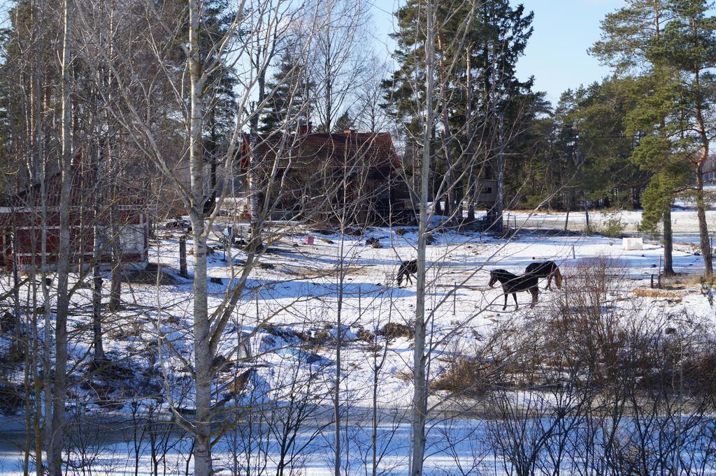 Silfvastas Holiday Homes Lapinjärvi Exterior foto